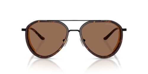 300173 - Matte Black frame / Dark Brown lenses