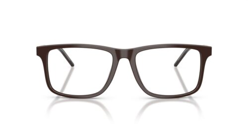 6255 - Shiny Brown frame / Clear lenses