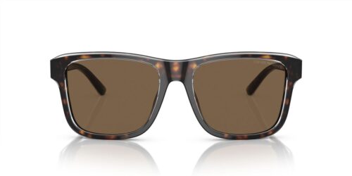 605273 - Shiny Havana/Top Crystal frame / Dark Brown lenses