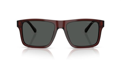 Emporio Armani  EA4232 Smoke