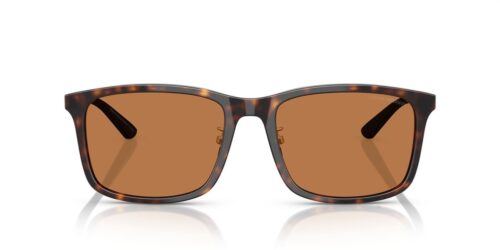 502673 - Shiny Havana frame / Brown lenses