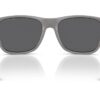 Emporio Armani  EA4243 Polar Grey