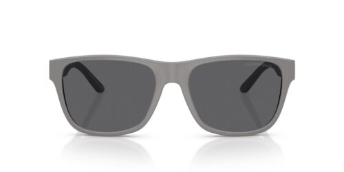 Emporio Armani  EA4243 Polar Grey