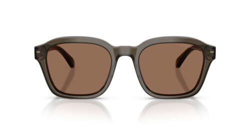 624973 - Shiny Transparent Grey frame / Dark Brown lenses