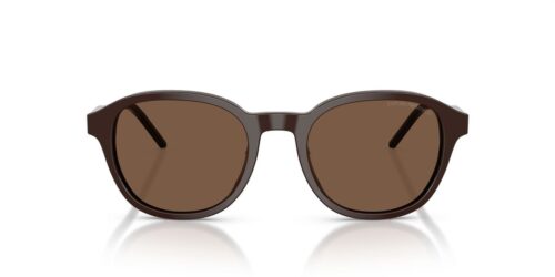 625573 - Shiny Brown frame / Brown lenses