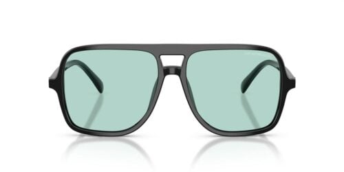Emporio Armani  EA4252U Light Azure