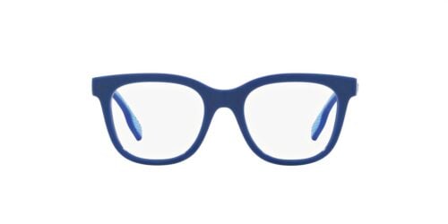 Burberry Kids  JB2002U Blue Frame