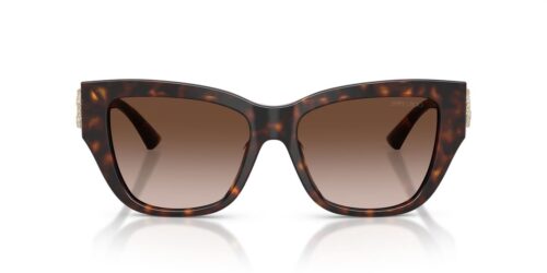 500213 - Oprawka Havana / Soczewki Gradient Brown
