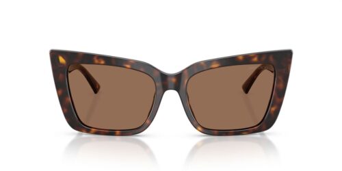 500273 - Havana frame / Dark Brown lenses
