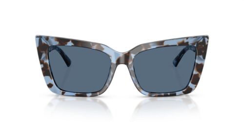 Jimmy Choo  JC5041 Dark Blue
