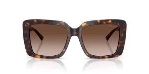 Jimmy Choo JC5042 Brauner Farbverlauf
