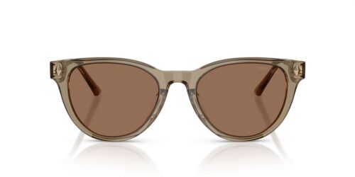 Jimmy Choo JC5043D Dunkelbraun
