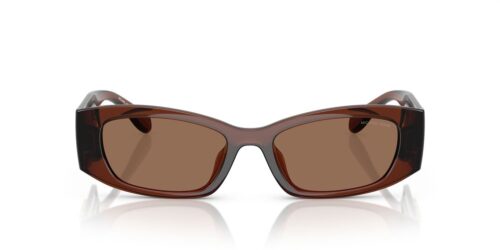 402173 - Brown Transparent frame / Brown Solid lenses