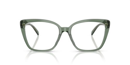 4022 - Smokey Olive Transparent frame / Clear lenses