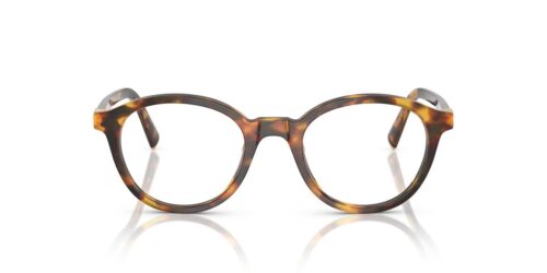 Miu Miu MU02WV Hunaja Havana Frame