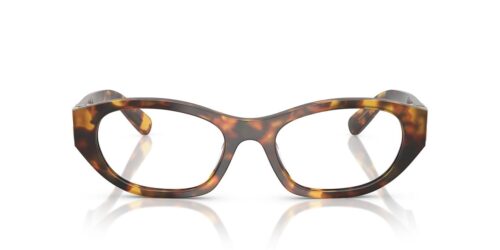 Miu Miu MU03WV Havana Honey Frame