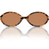 Miu Miu  MU04ZS Brown
