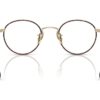 Oliver Peoples Coleridge Ii OV1352 Gold/Tortoise Frame