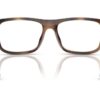 Polo Ralph Lauren  PH2290U Shiny Havana Frame