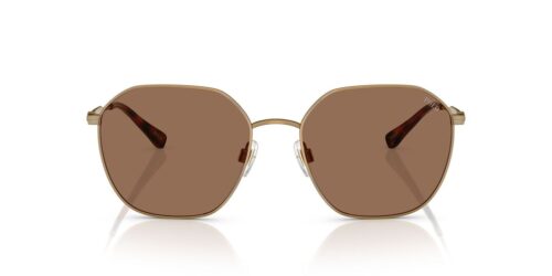 944973 - Semi-Shiny Antique Gold frame / Dark Brown lenses