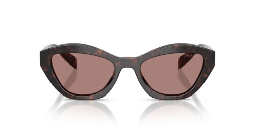 17N60B - Obroučky Root Tortoise / Světle hnědé čočky