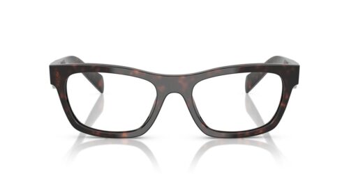 17N1O1 - Root Tortoise frame / Clear lenses