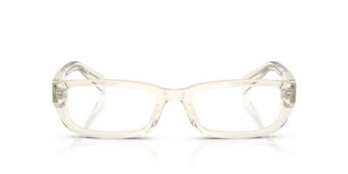 19X1O1 - Root/Black frame / Clear lenses
