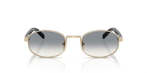 ZVN02C - Pale Gold frame / Grey Gradient lenses