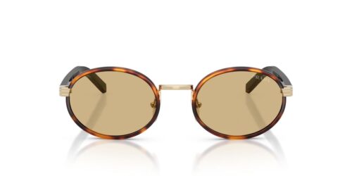 21E10R - Root Tortoise frame / Lente Camomilla Bio lenses