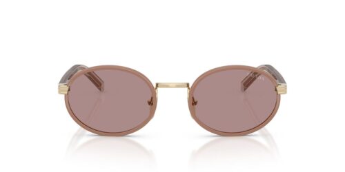 24E20I - Pecan frame / Light Purple Brown lenses