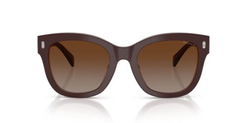 6055T5 - Kiiltävän maitoruskeat kehykset / Polar Gradient Brown -linssit