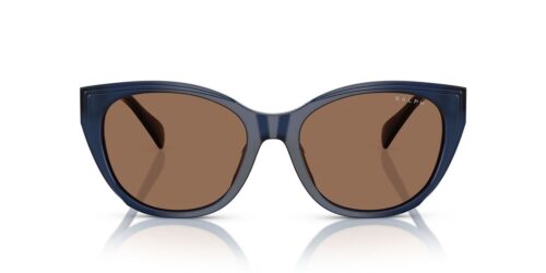 605973 - Shiny Transparent Opalescent Blue frame / Brown lenses