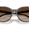 Ralph  RA5331U Brown Gradient