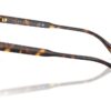 Ralph  RA5331U Brown Gradient
