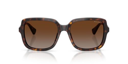 5003T5 - Shiny Dark Havana frame / Polar Brown Gradient lenses