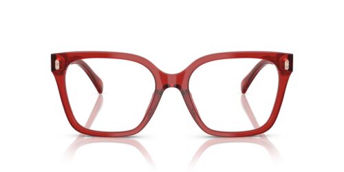 6210 - Shiny Transparent Burgundy frame / Clear lenses