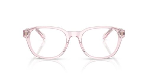 6190 - Shiny Transparent Pink frame / Clear lenses