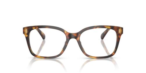 5134 - Shiny Honey Havana frame / Clear lenses
