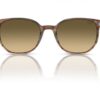 Ray-Ban Elliot RB2197 Brown Black