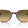 Ray-Ban Elliot RB2197 Brown Black