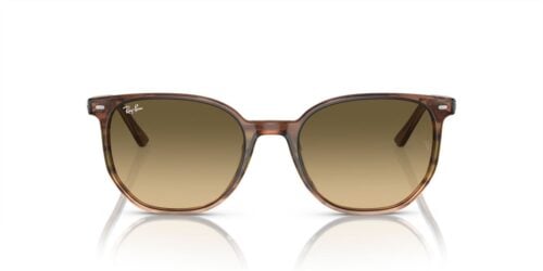 Ray-Ban Elliot RB2197 Brown Black