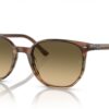 Ray-Ban Elliot RB2197 Brown Black