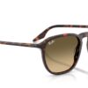 Ray-Ban  RB2203 Brown Vintage Gradient Black