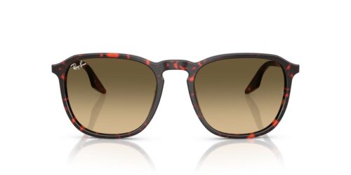 14290A - Havana Red Tortoiseshell frame / Brown Vintage Gradient Black lenses