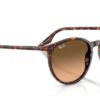 Ray-Ban  RB2204 Pink Gradient Black
