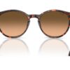 Ray-Ban  RB2204 Pink Gradient Black