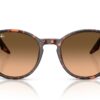 Ray-Ban  RB2204 Pink Gradient Black