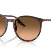 Ray-Ban  RB2204 Pink Gradient Black