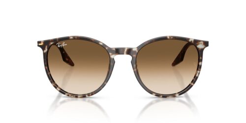 Ray-Ban  RB2204 Clear Gradient Brown