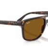 Ray-Ban  RB2213 B-15 Brown